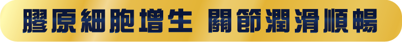促進膠原細胞增生 關節潤滑順暢