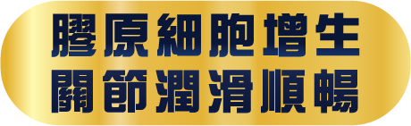 促進膠原細胞增生 關節潤滑順暢