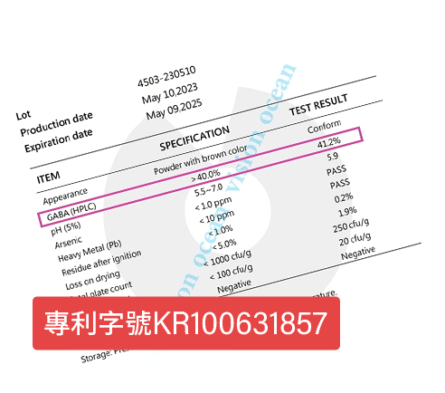 專利字號KR100631857