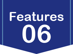 06